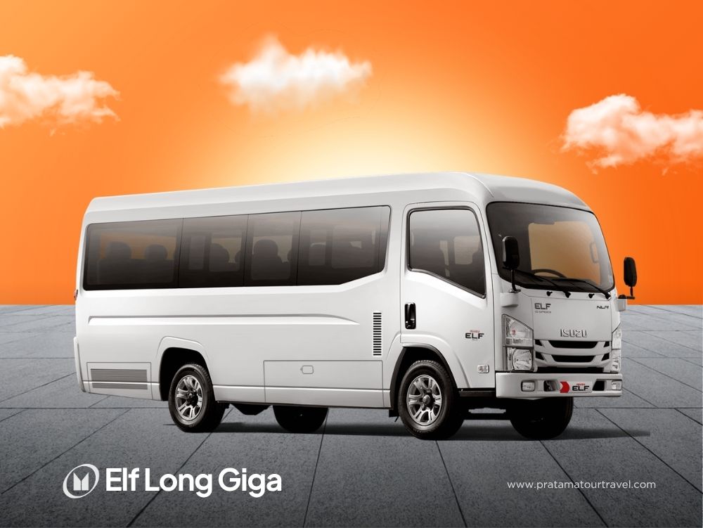 Elf Long Giga