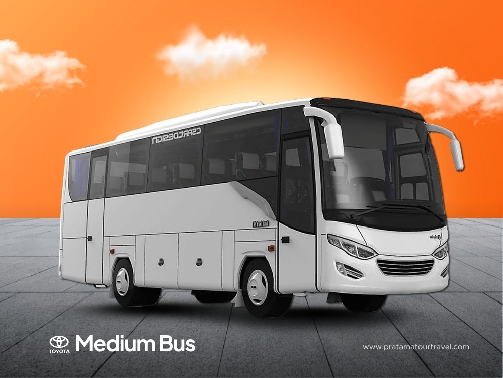 Medium Bus